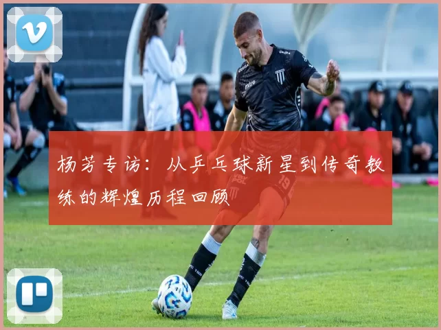 杨芳专访：从乒乓球新星到传奇教练的辉煌历程回顾