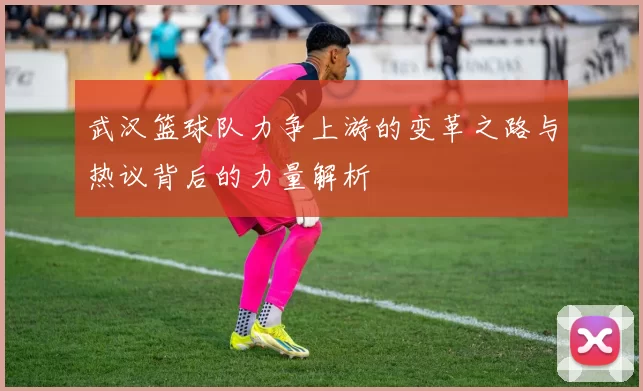 武汉篮球队力争上游的变革之路与热议背后的力量解析