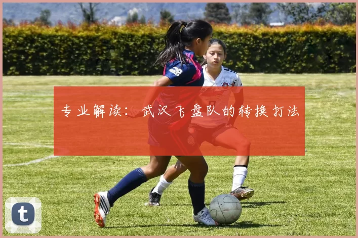 专业解读：武汉飞盘队的转换打法