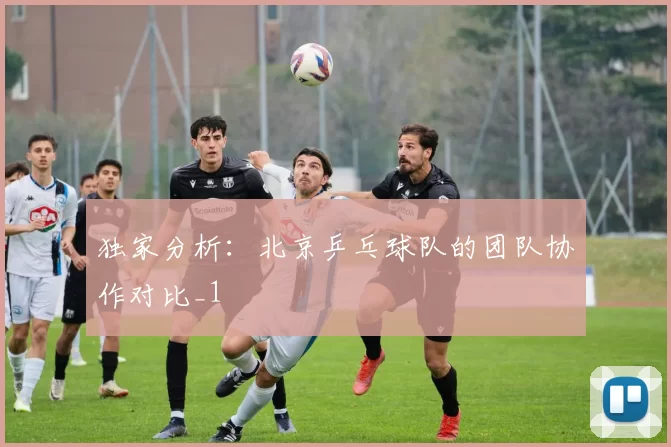 独家分析：北京乒乓球队的团队协作对比_1