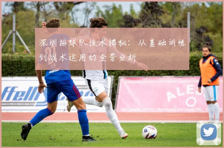 深圳排球队技术揭秘：从基础训练到战术运用的全景分析