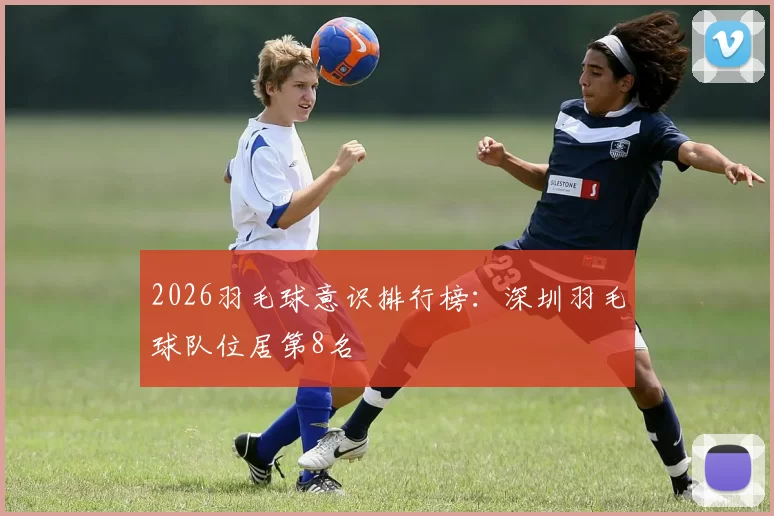 2026羽毛球意识排行榜：深圳羽毛球队位居第8名