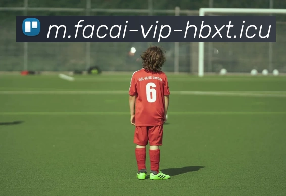 爱游戏体育注册平台生态图